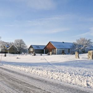 Bild på Vinter utanför Nygård